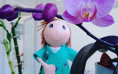 ¡Estrenamos nueva web!